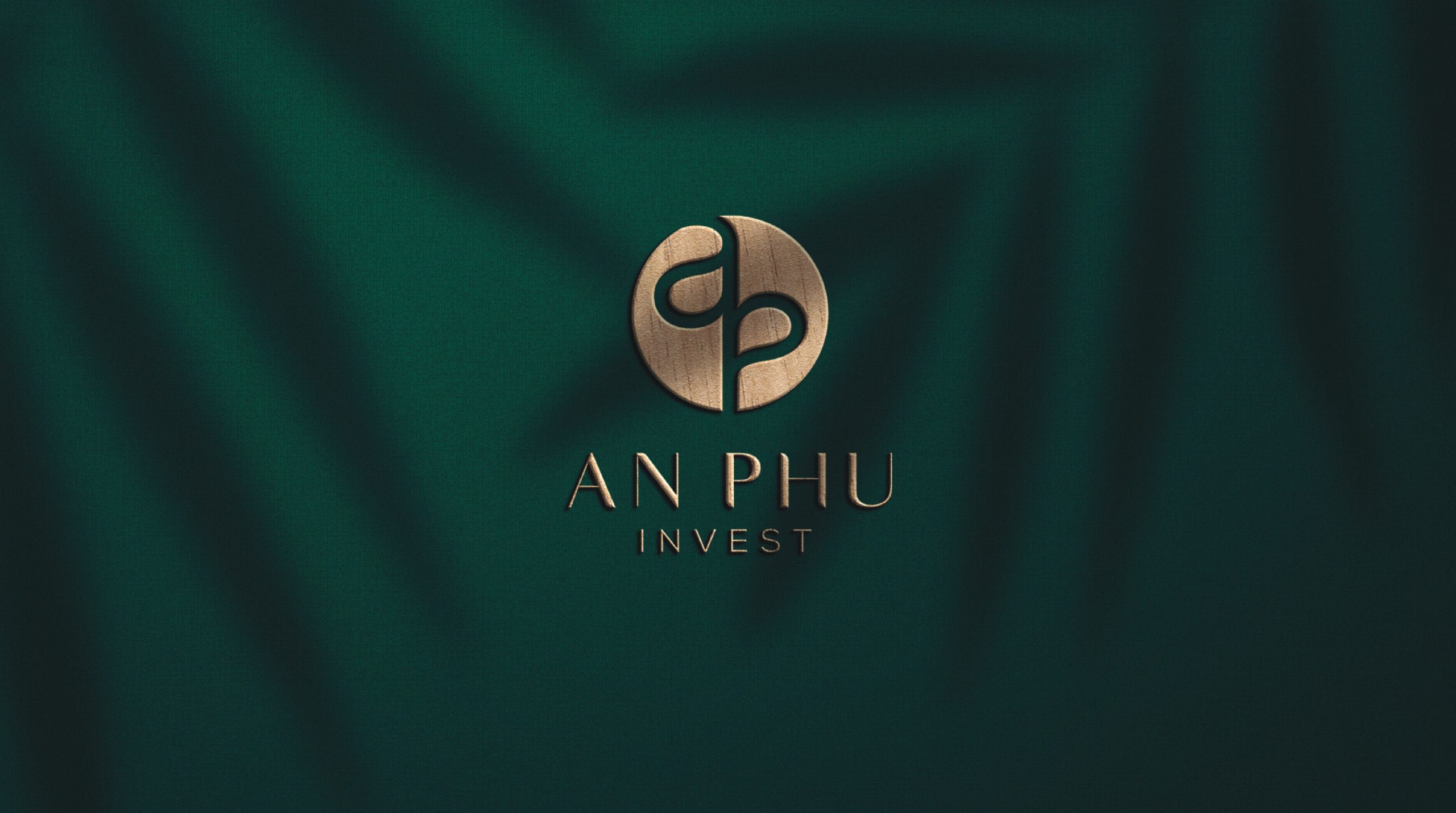 An Phú Logo Guide Line-hình ảnh-10